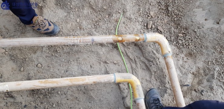 20190729_064410.jpg